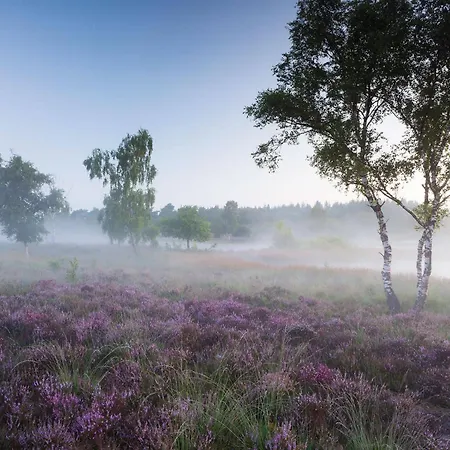 Appartement Siebengewald Apartamento Siebengewald