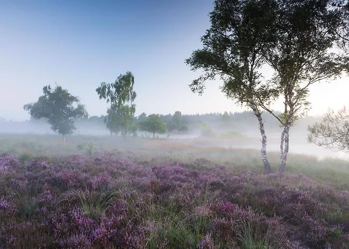 Appartement Siebengewald Apartment Siebengewald