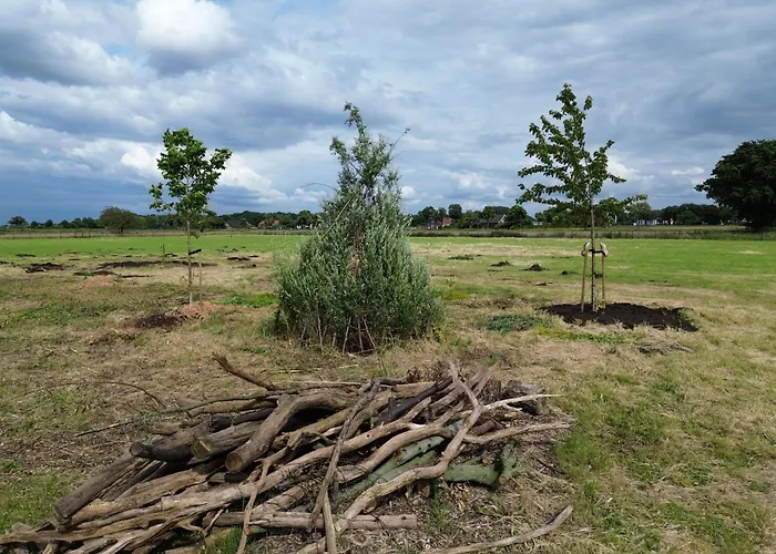 Appartement Siebengewald * Siebengewald