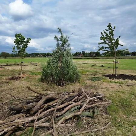 Appartement Siebengewald * Siebengewald